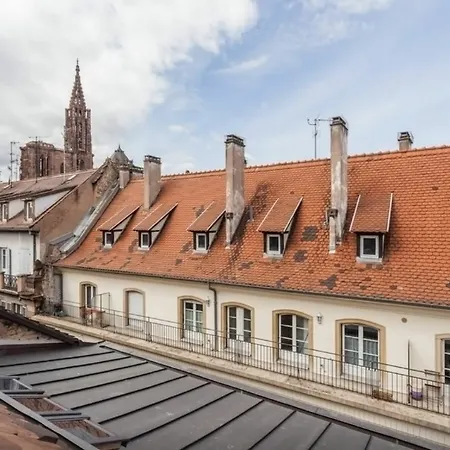 Appartement Typique Et Cosy A Deux Pas De La Cathedrale Apartment