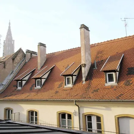Apartment Appartement Typique Et Cosy A Deux Pas De La Cathedrale *