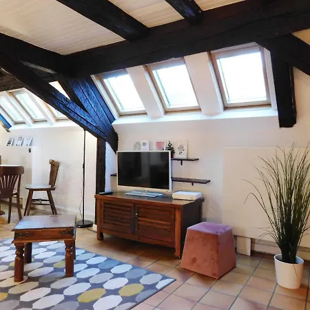 Apartment Appartement Typique Et Cosy A Deux Pas De La Cathedrale Strasbourg